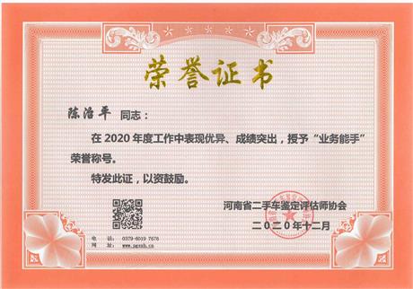 陈治平个人荣誉