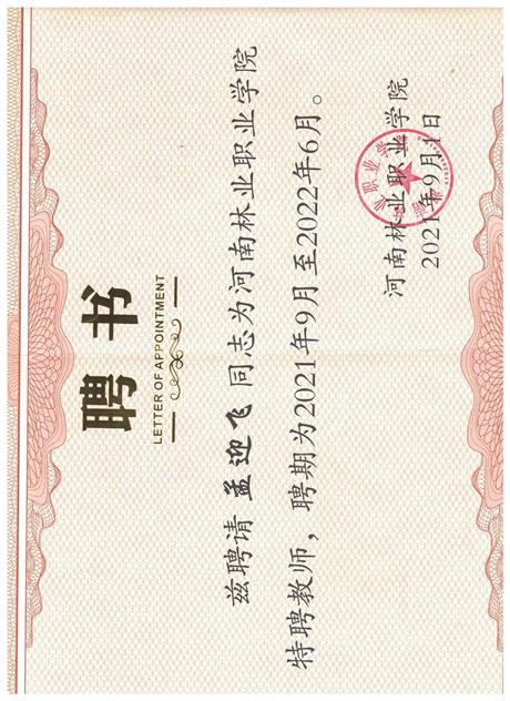 孟迎飞个人荣誉
